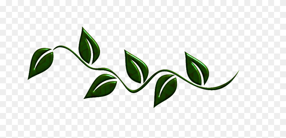 Image, Leaf, Plant, Green Png