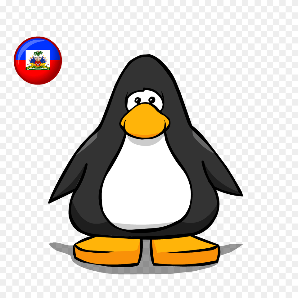 Animal, Bird, Penguin, King Penguin Png Image