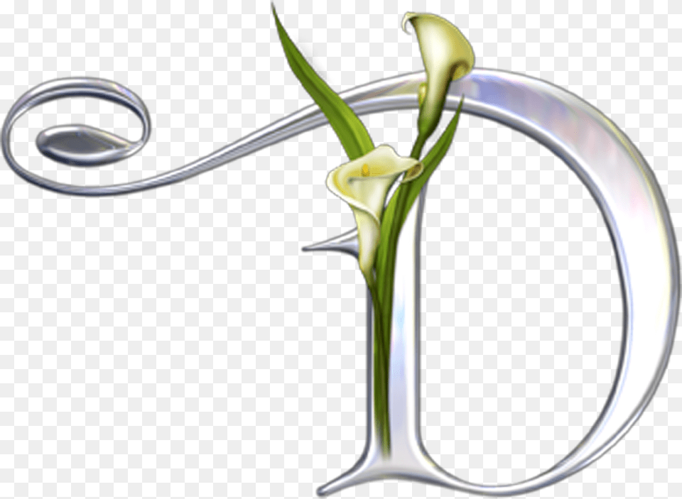 Image, Flower, Plant, Flower Arrangement Free Png