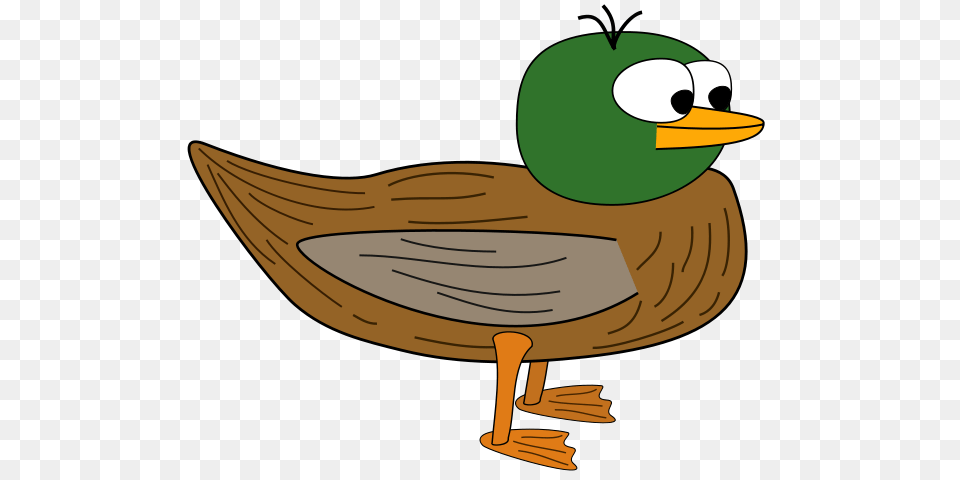Image, Animal, Beak, Bird, Duck Free Transparent Png