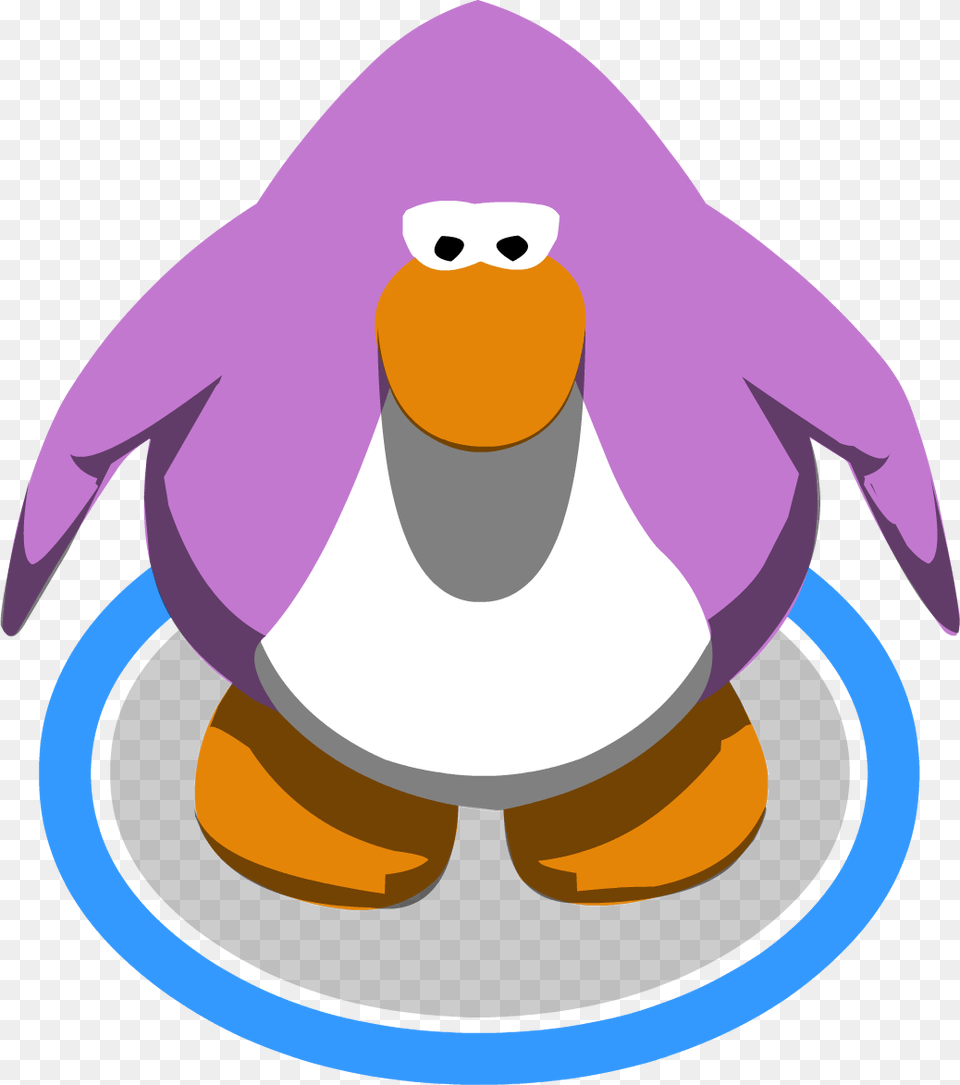 Image, Animal, Bird Free Png