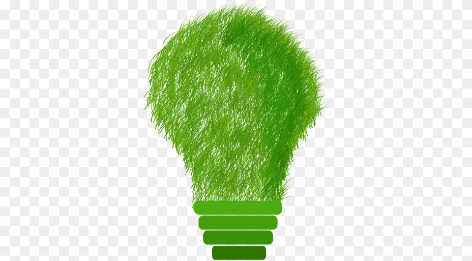 Image, Green, Light, Lightbulb Free Png Download