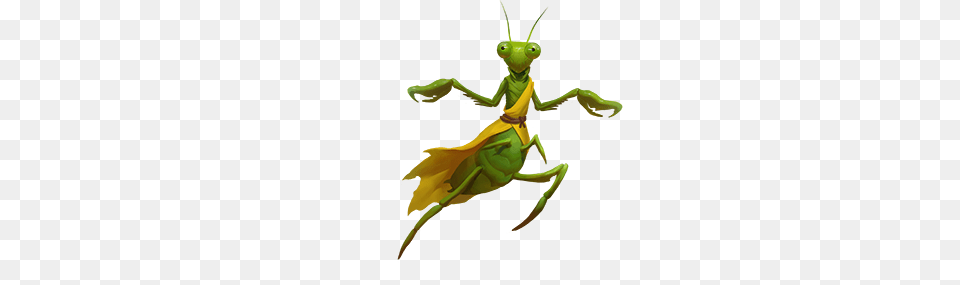 Image, Animal Free Png