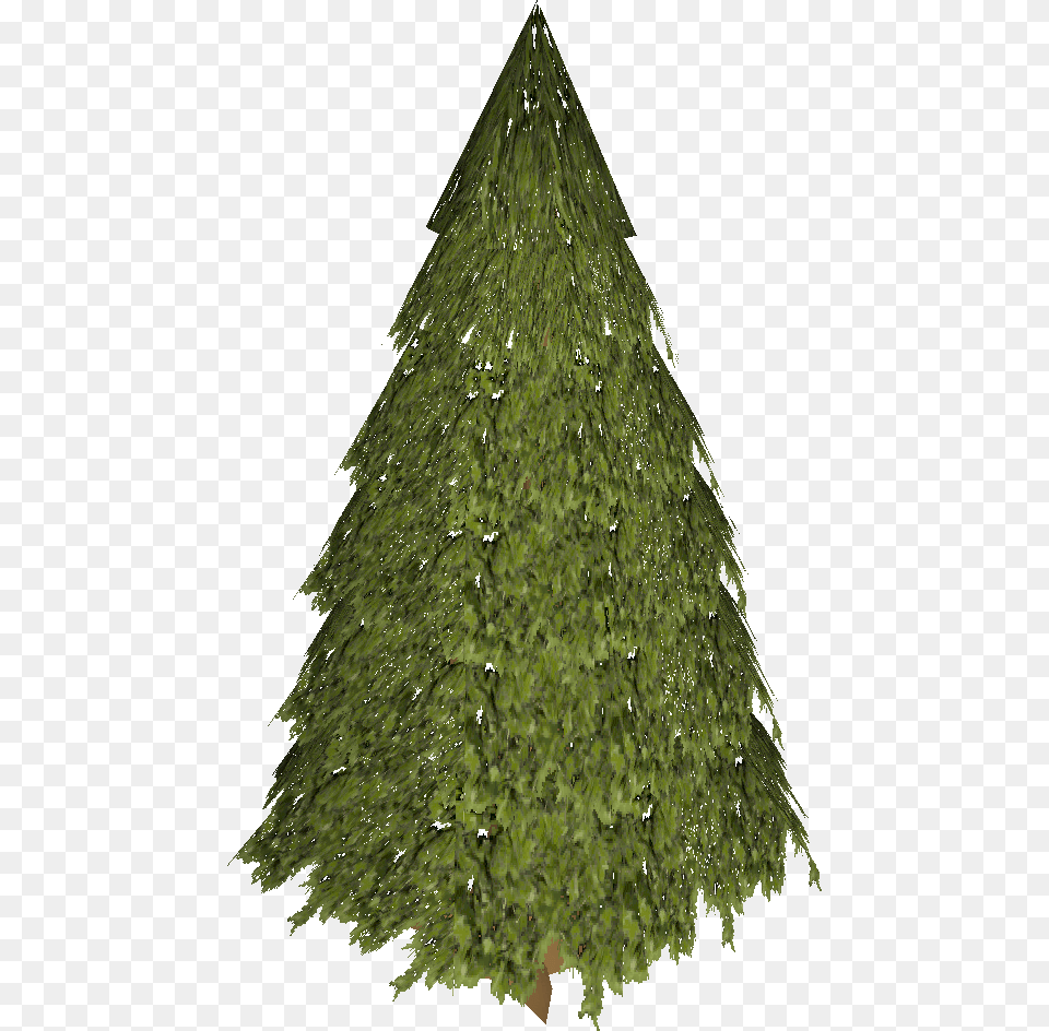 Image, Plant, Tree, Fir, Conifer Free Png Download