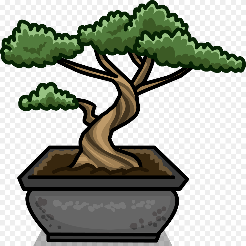 Image, Plant, Potted Plant, Tree, Bonsai Png