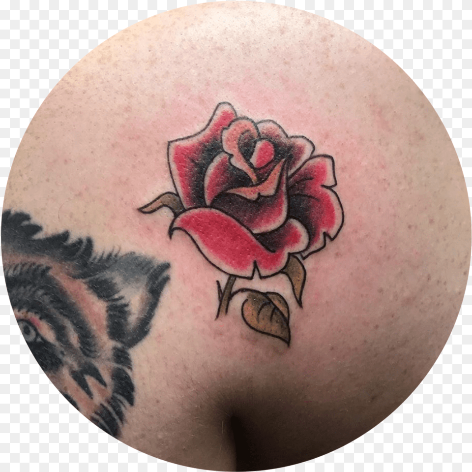 Image, Person, Skin, Tattoo, Flower Png