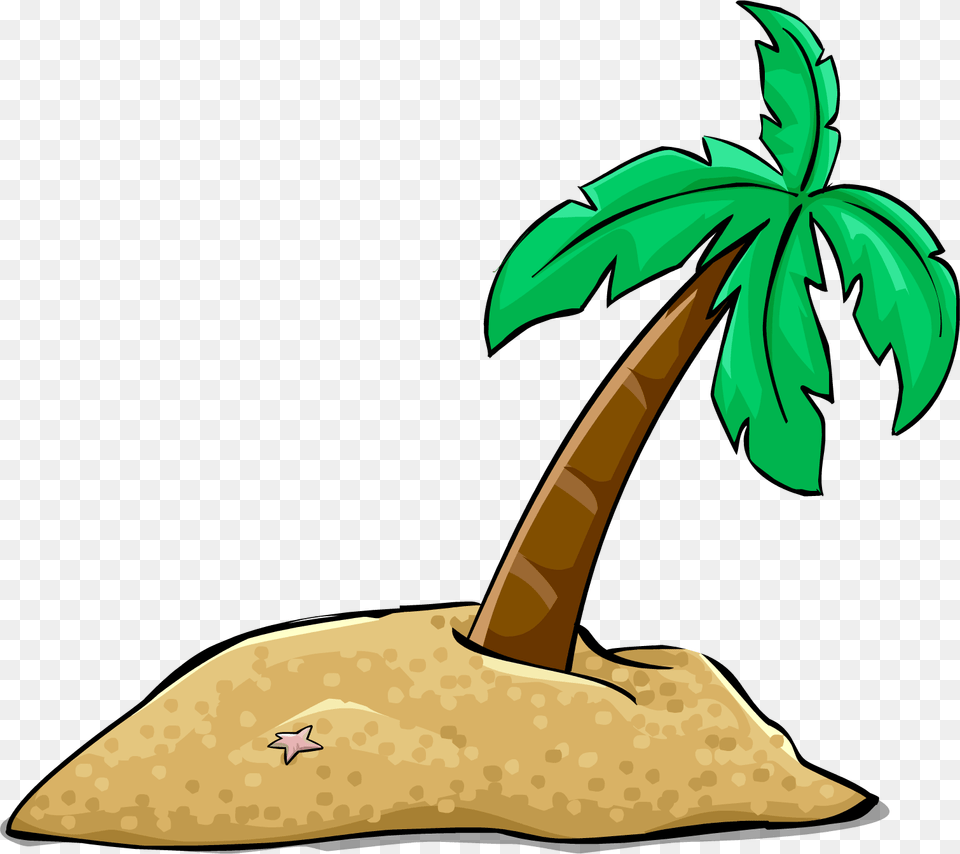 Image, Palm Tree, Tree, Plant, Leaf Png