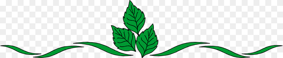 Green, Herbal, Herbs, Leaf Png Image