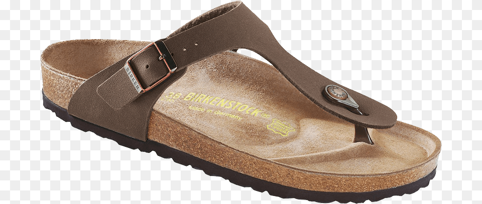 Clothing, Footwear, Sandal Png Image