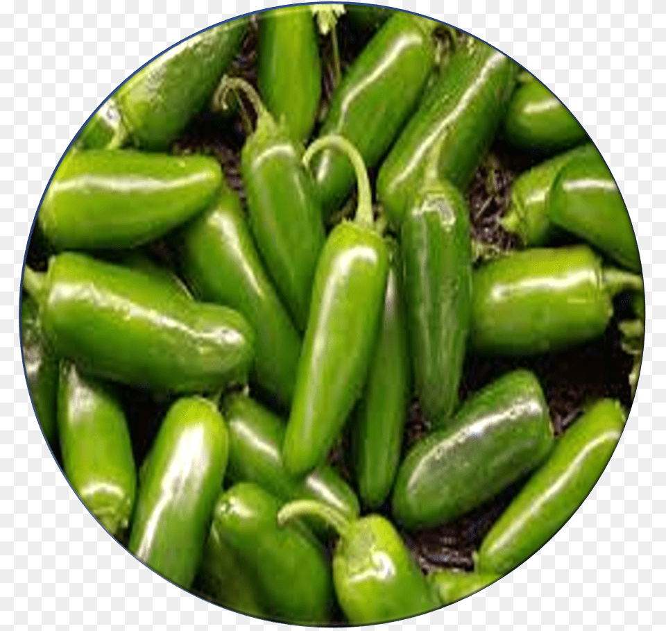 Food, Pepper, Plant, Produce Png Image