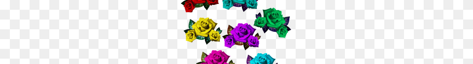 Flower, Plant, Rose, Art Png Image