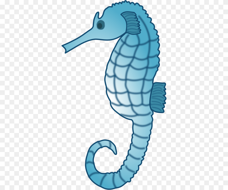 Image, Animal, Sea Life, Mammal, Seahorse Free Png