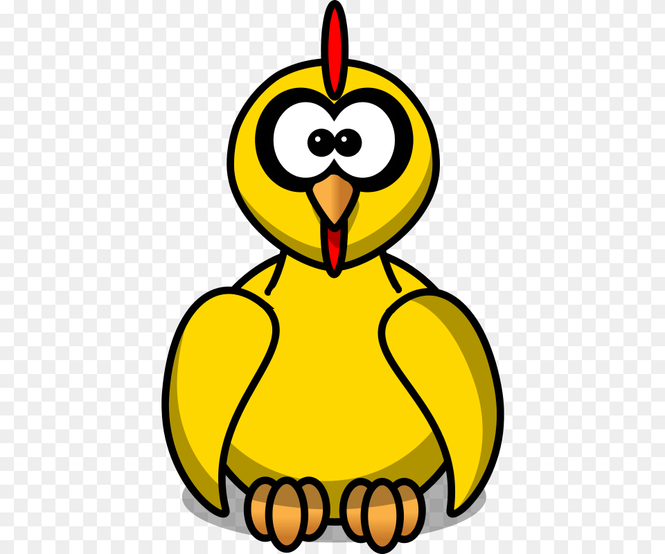 Animal, Beak, Bird Png Image