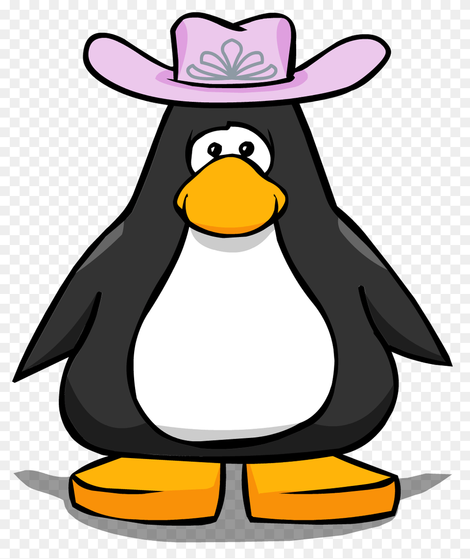 Image, Clothing, Hat, Animal, Bird Png