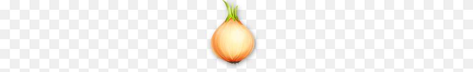 Food, Produce, Onion, Plant Png Image