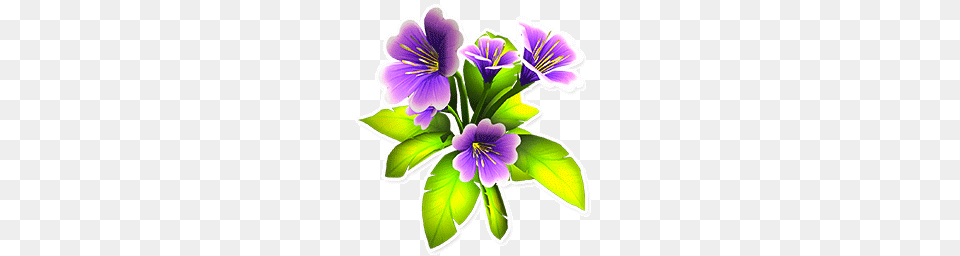 Image, Flower, Plant, Purple, Flower Arrangement Png