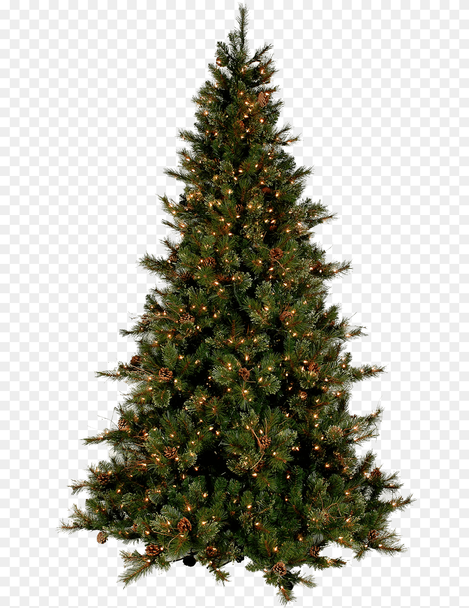 Image, Plant, Tree, Pine, Christmas Free Png