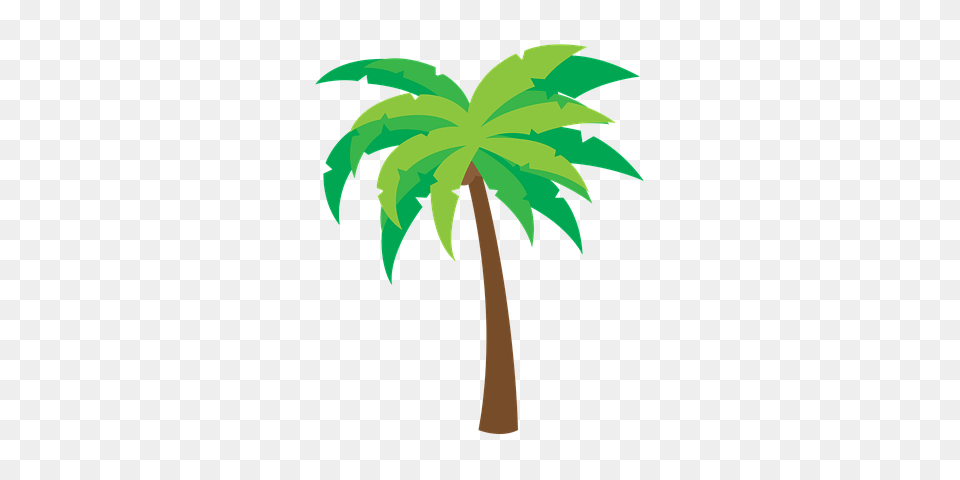 Image, Palm Tree, Plant, Tree, Vegetation Free Transparent Png