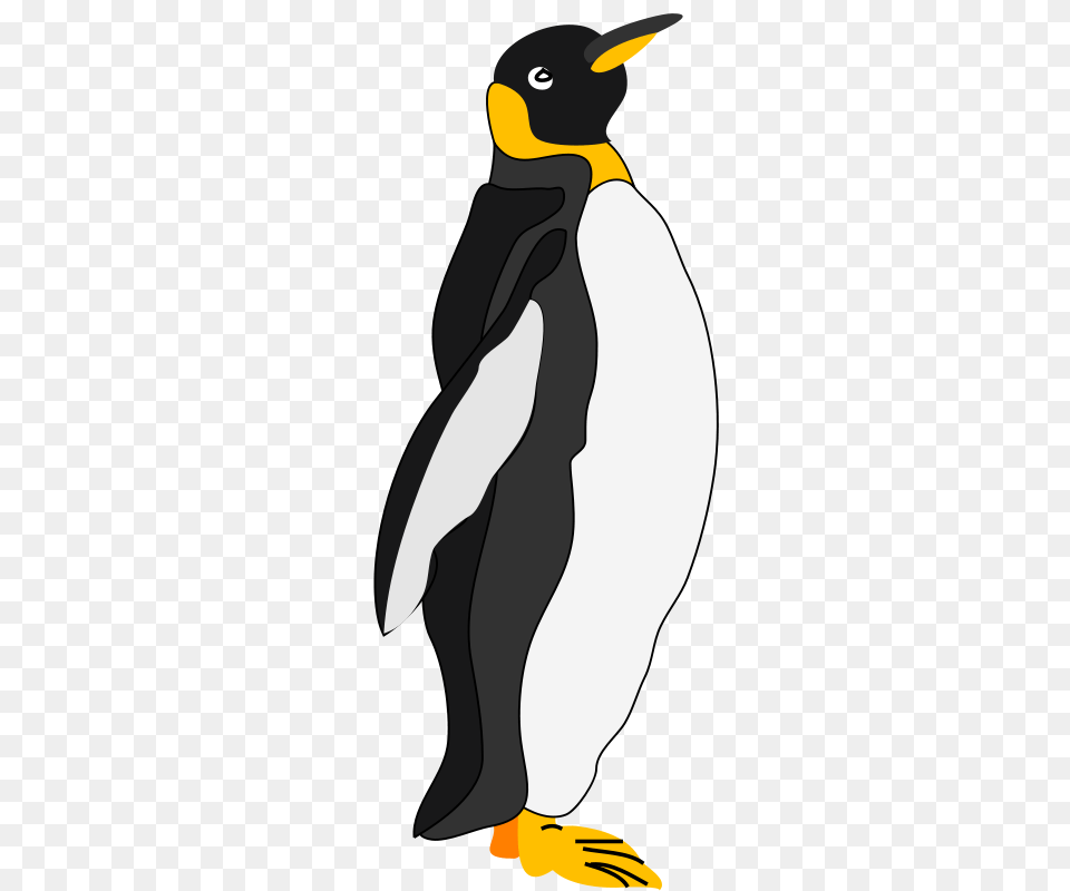 Image, Animal, Bird, King Penguin, Penguin Png