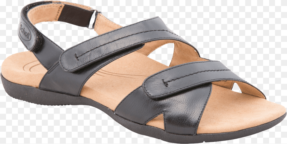 Image, Clothing, Footwear, Sandal Free Transparent Png