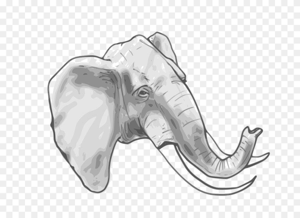 Image, Animal, Elephant, Mammal, Wildlife Free Png Download