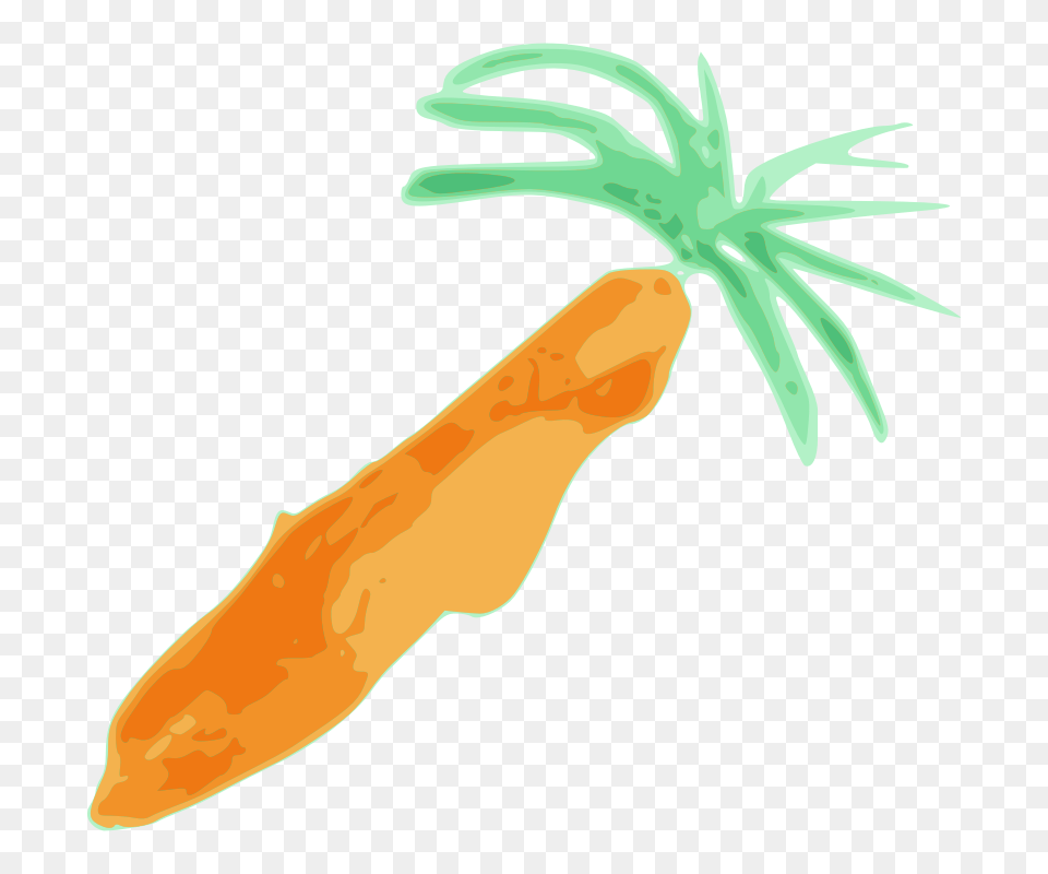 Image, Carrot, Food, Plant, Produce Png