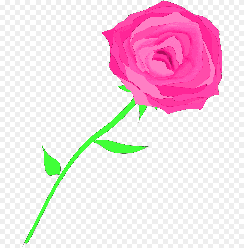 Image, Flower, Plant, Rose Free Png Download