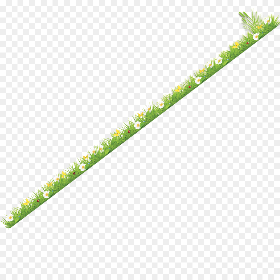 Grass, Green, Plant, Art Png Image