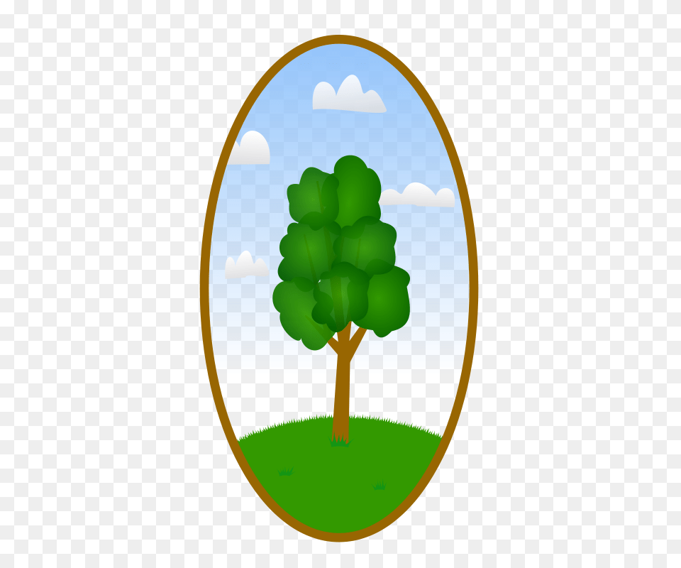Plant, Tree, Outdoors, Astronomy Png Image