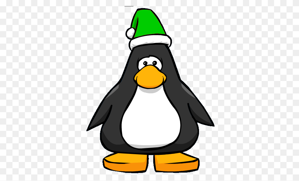 Animal, Bird, Penguin Png Image