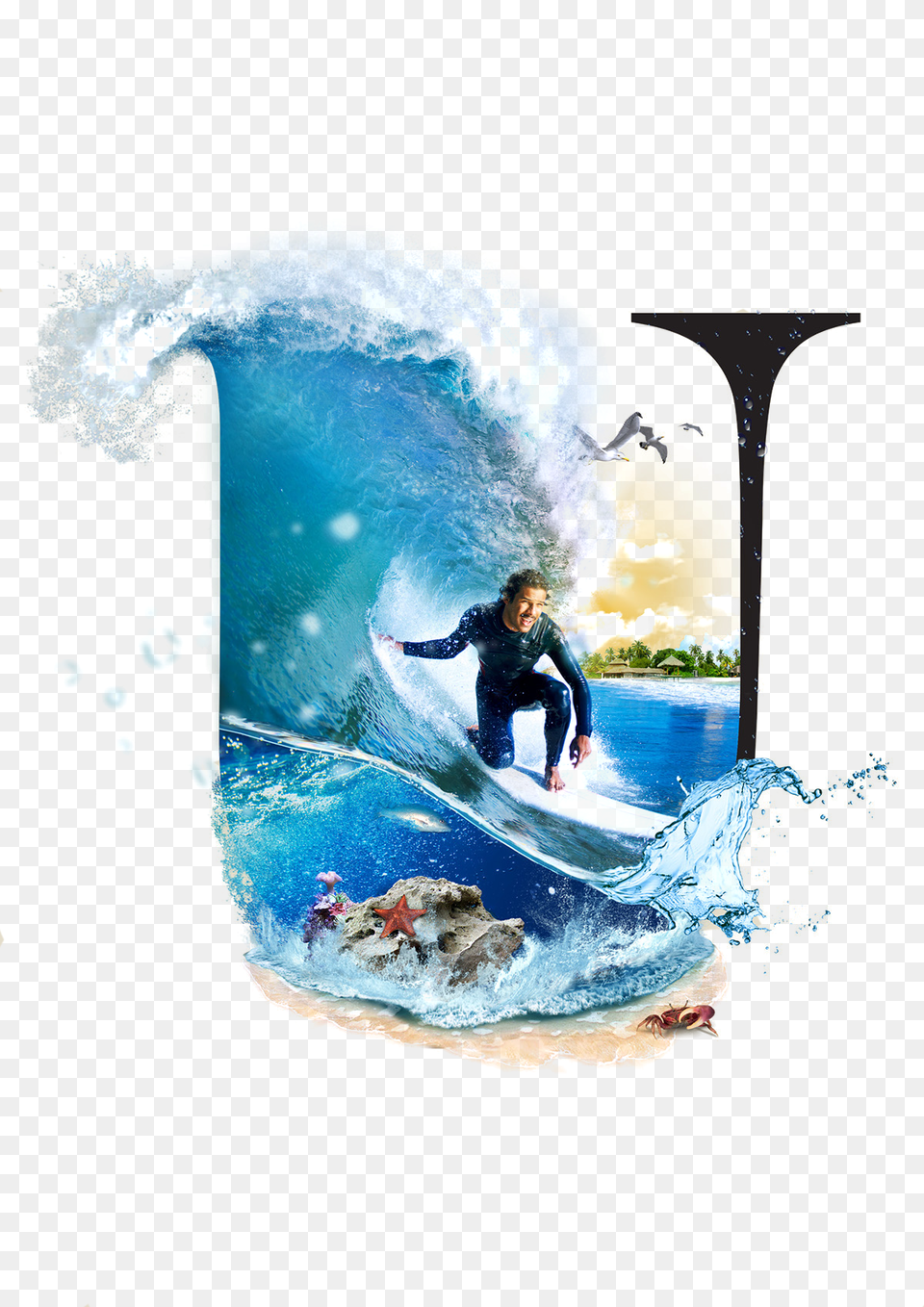 Sea, Water, Surfing, Leisure Activities Png Image