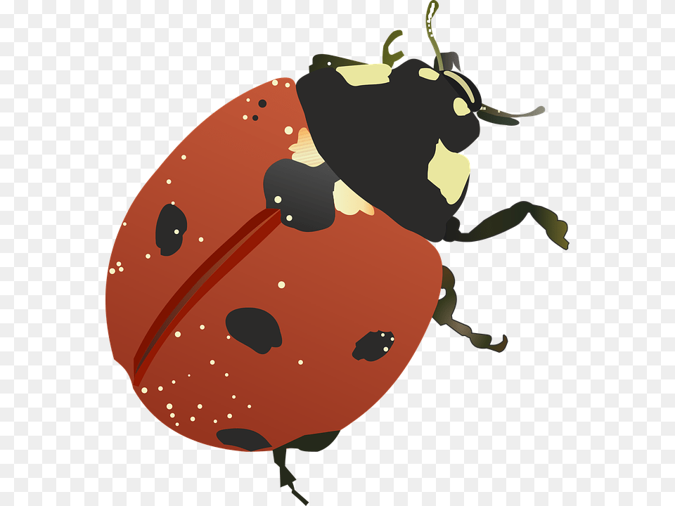 Image, Animal Free Png