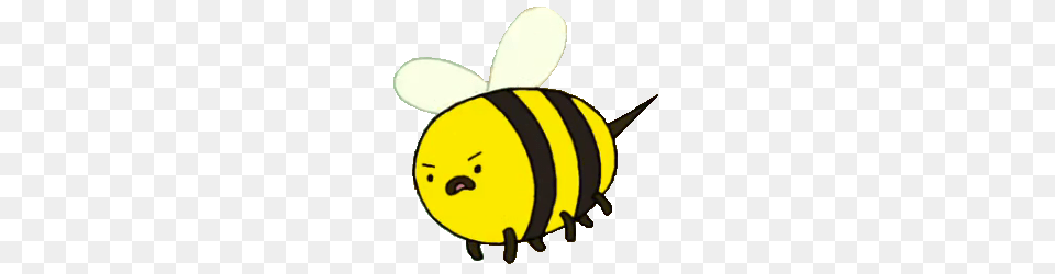 Image, Animal, Bee, Honey Bee, Insect Png
