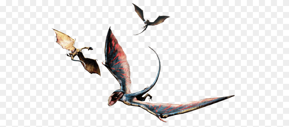 Animal, Bird, Flying, Lizard Png Image