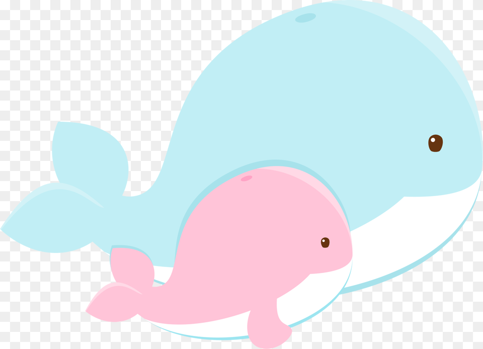 Image, Animal, Mammal, Beluga Whale, Sea Life Free Transparent Png
