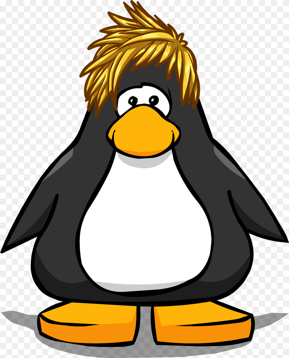 Image, Person, Animal, Bird, Penguin Free Png