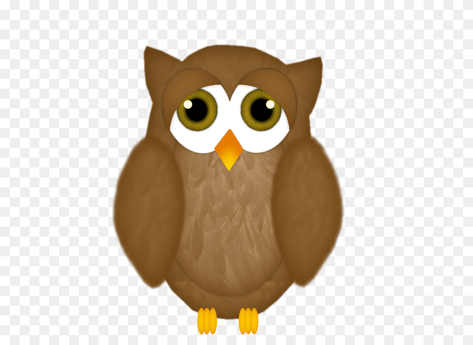 Image, Animal, Bird Png