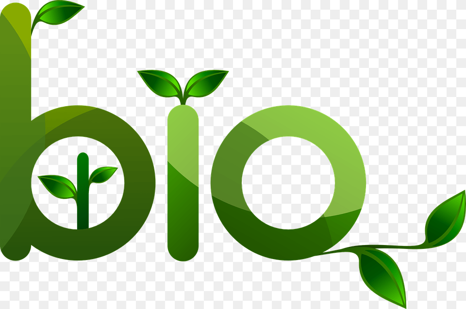 Image, Green, Herbal, Herbs, Plant Free Png