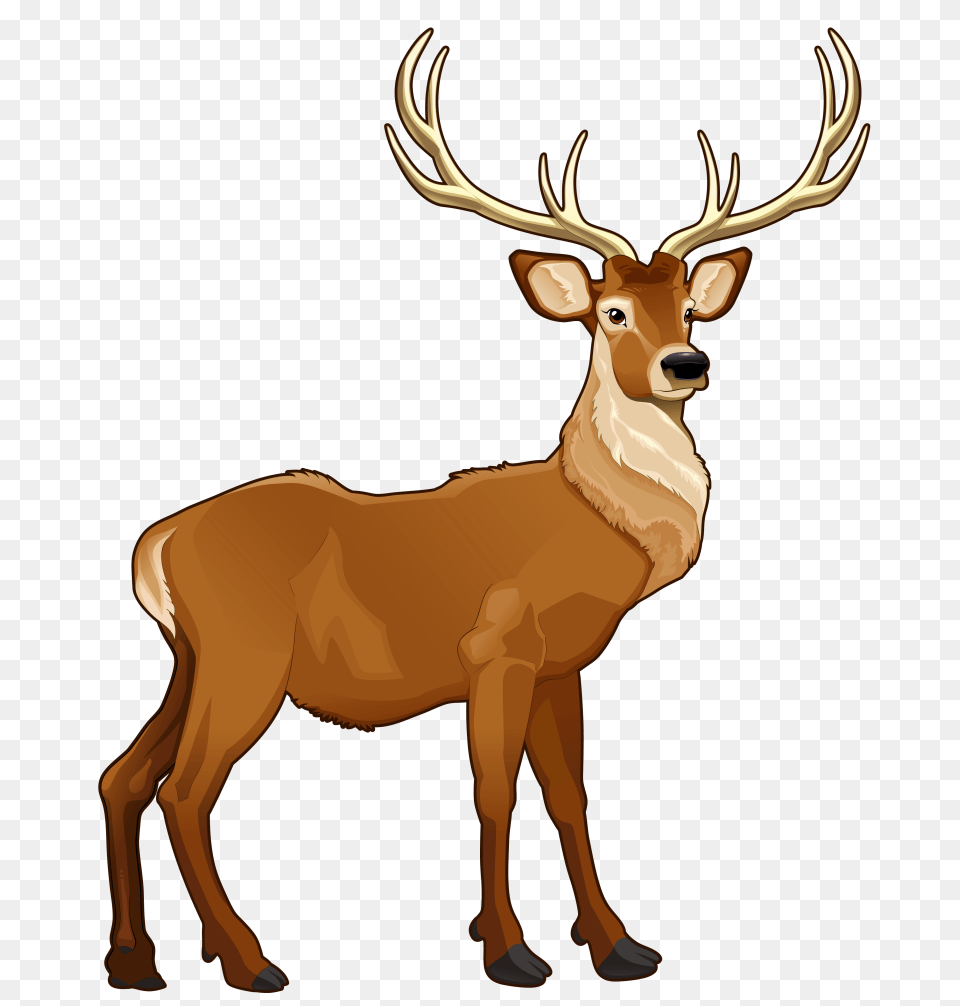 Image, Animal, Deer, Elk, Mammal Free Transparent Png