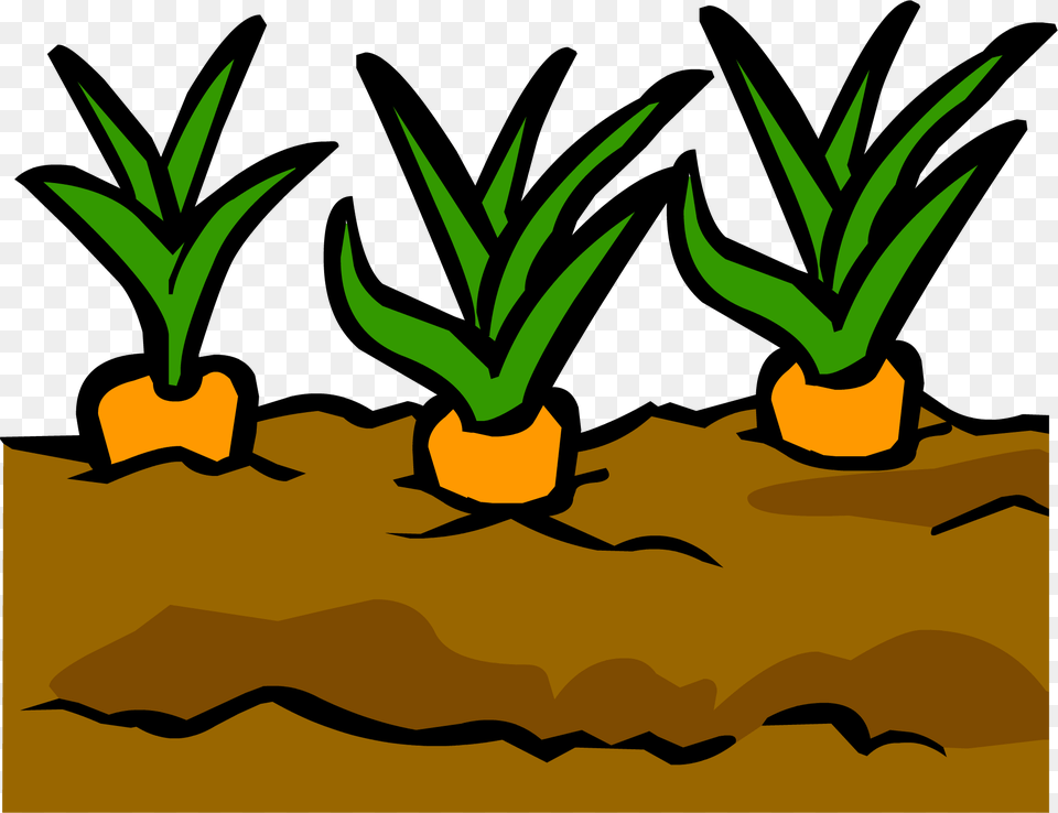 Image, Soil, Plant, Potted Plant, Leaf Png