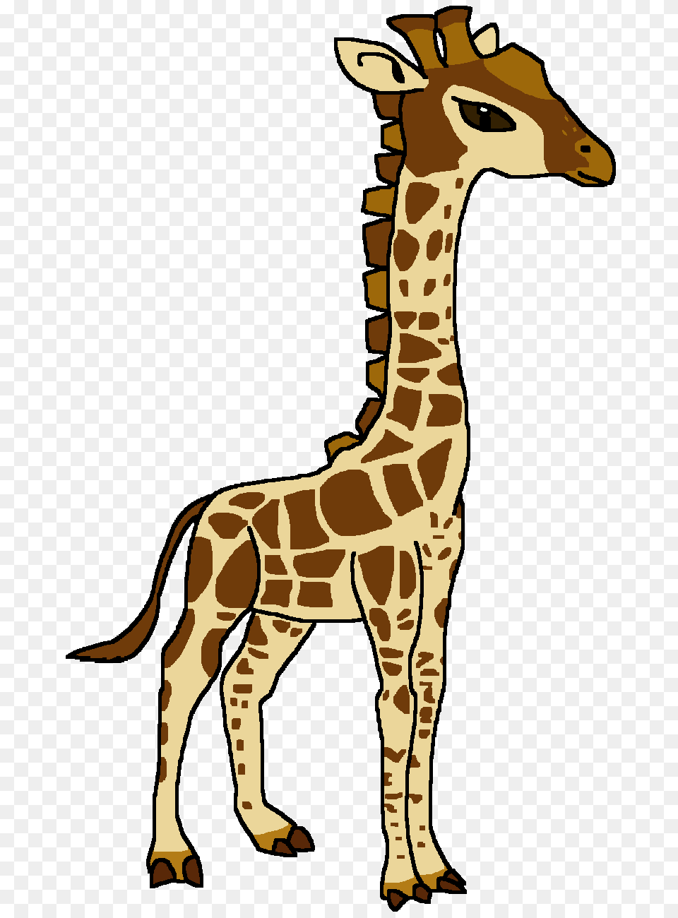 Image, Person, Animal, Giraffe, Mammal Free Png