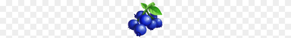 Berry, Blueberry, Food, Fruit Png Image