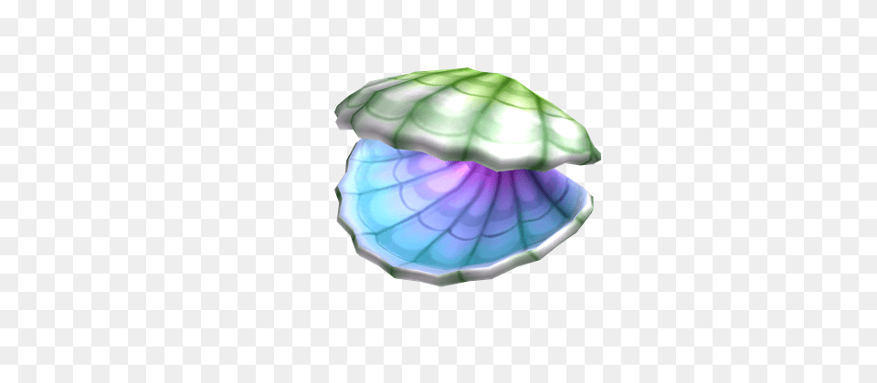 Image, Animal, Clam, Food, Invertebrate Free Transparent Png