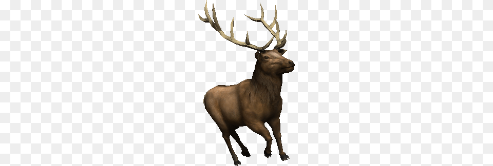 Animal, Deer, Elk, Mammal Png Image