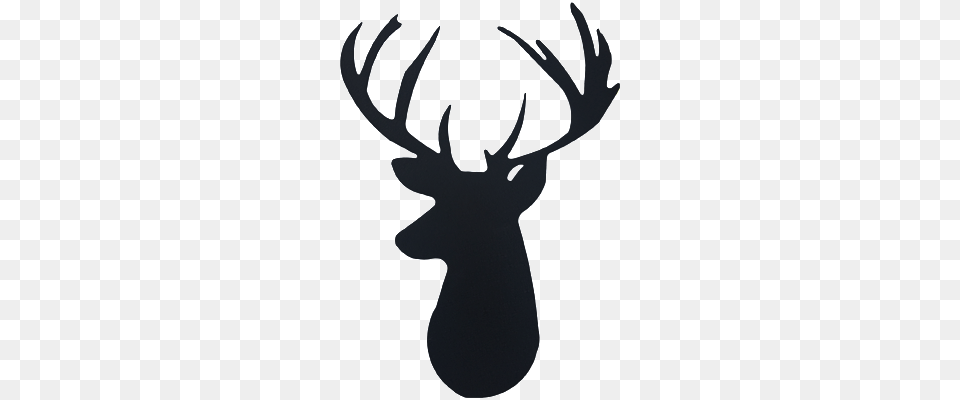 Image, Antler, Animal, Deer, Mammal Png
