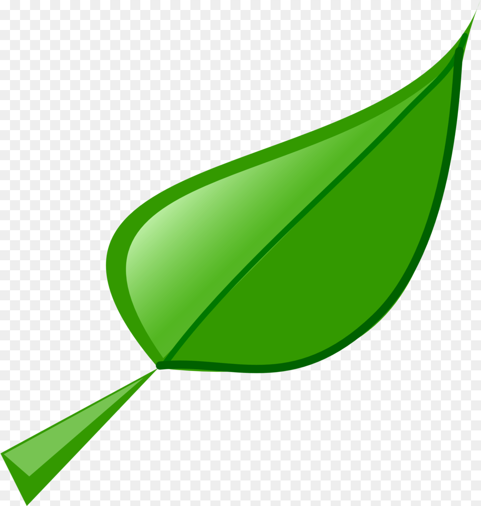 Image, Green, Leaf, Plant Png