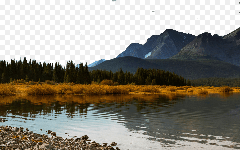 Image, Wilderness, Water, Tree, Plant Free Png