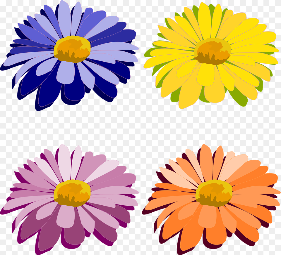 Image, Daisy, Flower, Plant, Petal Free Png Download