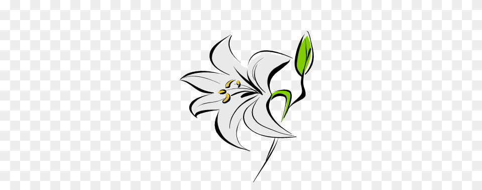 Image, Flower, Plant, Lily, Animal Free Transparent Png