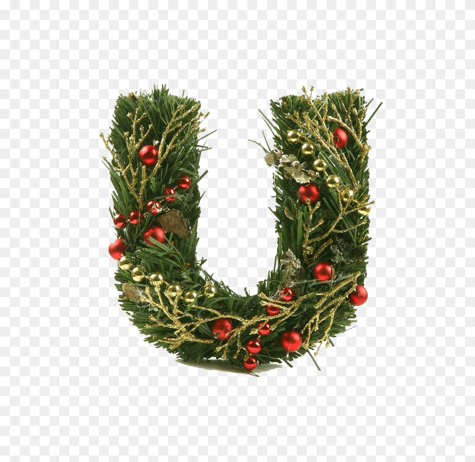 Image, Plant, Christmas, Christmas Decorations, Festival Free Png